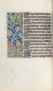 Libro d