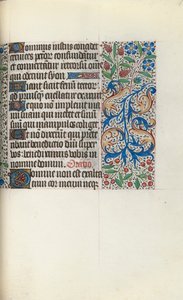 Libro d