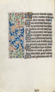 Libro d
