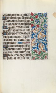 Libro d