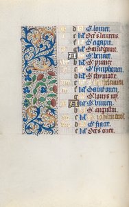 Libro delle Ore Uso di Rouen: fol. 8v da Master of the Geneva Latini