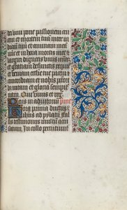 Libro d