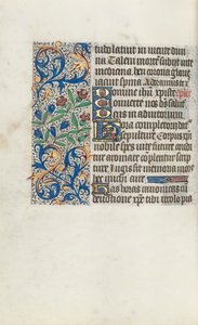 Libro d