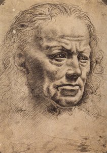 Testa di un uomo da Master of the Pala Sforzesca
