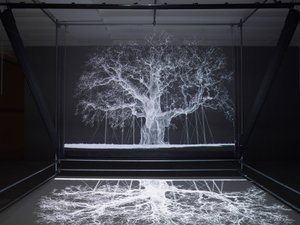 Albion, 2017 (Proiettore, lettore multimediale, impalcatura, pellicola trasparente, legno, vernice, specchio, accessori per lo stretching)