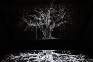 Albion, 2017 (Proiettore, lettore multimediale, impalcatura, pellicola trasparente, legno, vernice, specchio, accessori per lo stretching) da Mat Collishaw