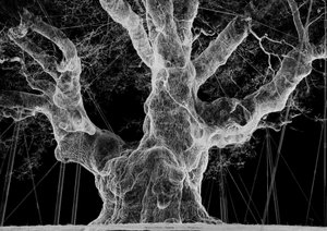 Albion, 2017 (Proiettore, lettore multimediale, impalcatura, pellicola trasparente, legno, vernice, specchio, accessori per lo stretching) da Mat Collishaw