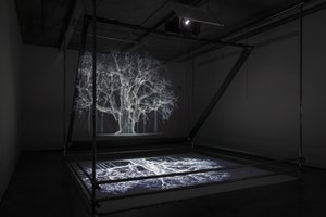 Albion, 2017 (Proiettore, lettore multimediale, impalcatura, pellicola trasparente, legno, vernice, specchio, accessori per lo stretching)