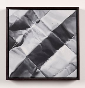 Velluto blu, 2013 (olio su tela) da Mat Collishaw