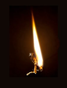 Burning Butterfly 8, 2013 (stampa Lambda) da Mat Collishaw