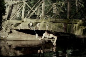 Catturare le fate 1 da Mat Collishaw