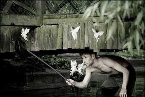 Catturare le fate 5 da Mat Collishaw