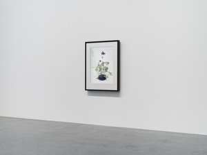 Columbine, 2018 (cornice in legno, bordo, schermo LCD, ventilatore e lettore multimediale) da Mat Collishaw