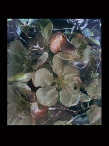 Carnefici 5