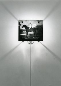 Cavalli Stubbs da Mat Collishaw