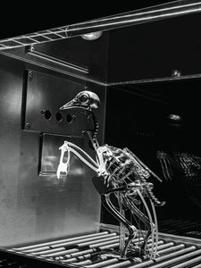 The Machine Zone, 2019 (Acciaio, alluminio, servomotori) da Mat Collishaw