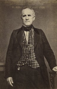 Sam Houston, c.1860-65 (stampa all