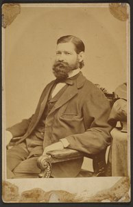 Thomas Davidson Jr. da Mathew B. Brady