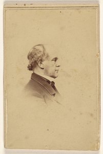 [Uomo non identificato di profilo, stampato in stile vignetta] da Mathew B. Brady