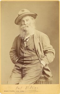  da Mathew B. Brady
