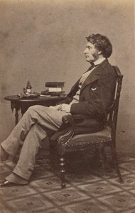 Ritratto di Charles Sumner da Mathew Brady