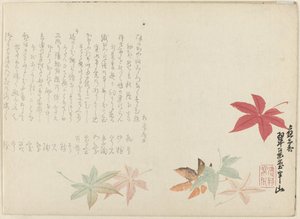 Acero giapponese da Matsukawa Hanzan