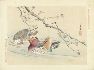 Due anatre da Matsumura Keibun