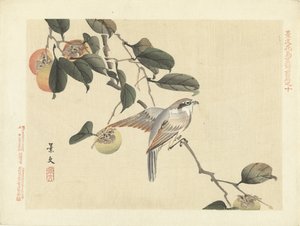 Uccello e cachi da Matsumura Keibun