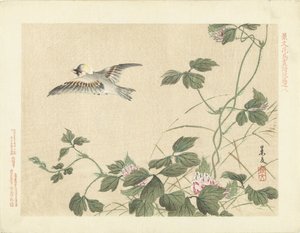 Uccello in volo vicino a una pianta rampicante con fiori rosa da Matsumura Keibun