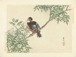 Uccello nero-rosso da Matsumura Keibun