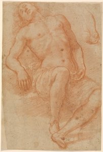 Nudo maschile, mezzo sdraiato