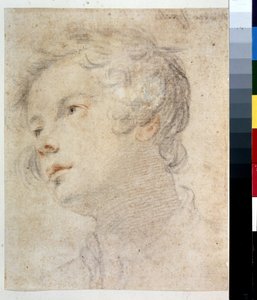 Testa di ragazzo da Matteo Rosselli