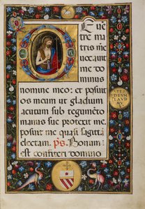 Iniziale D: San Giovanni Battista da Matteo da Milano