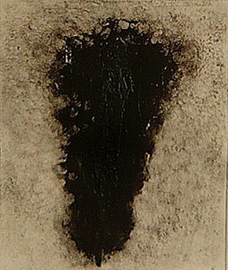 ossie, 2009 (eliografia)