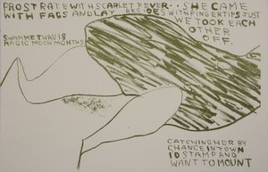 è venuta con i finocchi, 2009 (litografia) da Matthew Hilton