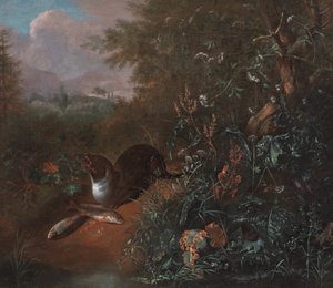  da Matthias Withoos