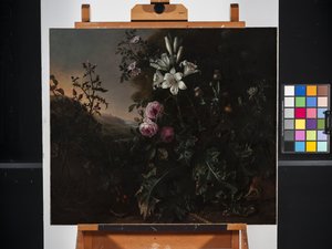 Natura morta da Matthias Withoos