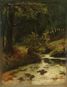 Ruscello nei boschi vicino a Oosterbeek