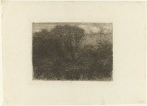 Stagno nel bosco