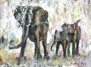 Famiglia di elefanti africani da Matthys Moss
