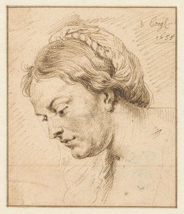 Testa di donna