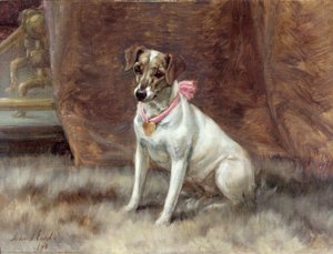 Il fiocco rosa, 1898