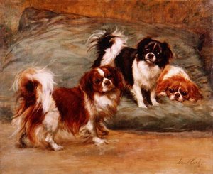 Tre Spaniel King Charles su un Cuscino da Maud Earl