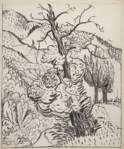 Albero sul pendio di una montagna, 1930 circa (pennello, inchiostro e carboncino su carta bianca vergata) da Maud Hunt Squire