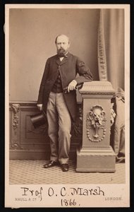 Ritratto di Othniel Charles Marsh