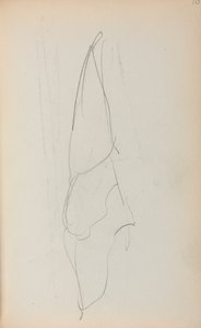 Taccuino italiano, pagina della vela 70, 1898-1899