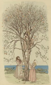 Raccolta di arance sul Mediterraneo da Maurice Charles Mathieu Bonvoisin