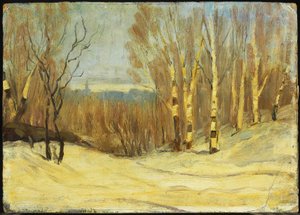 Inverno vicino a Montreal, circa 1896 da Maurice Galbraith Cullen