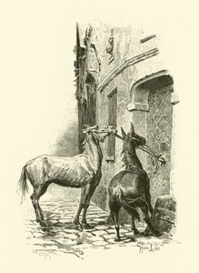 Illustrazione per I tre moschettieri
