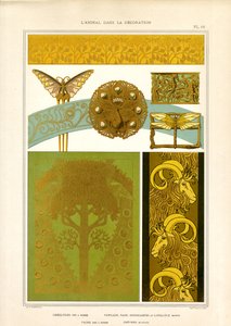Motivi animali per gioielli ed elementi decorativi (litografia) da Maurice Pillard Verneuil